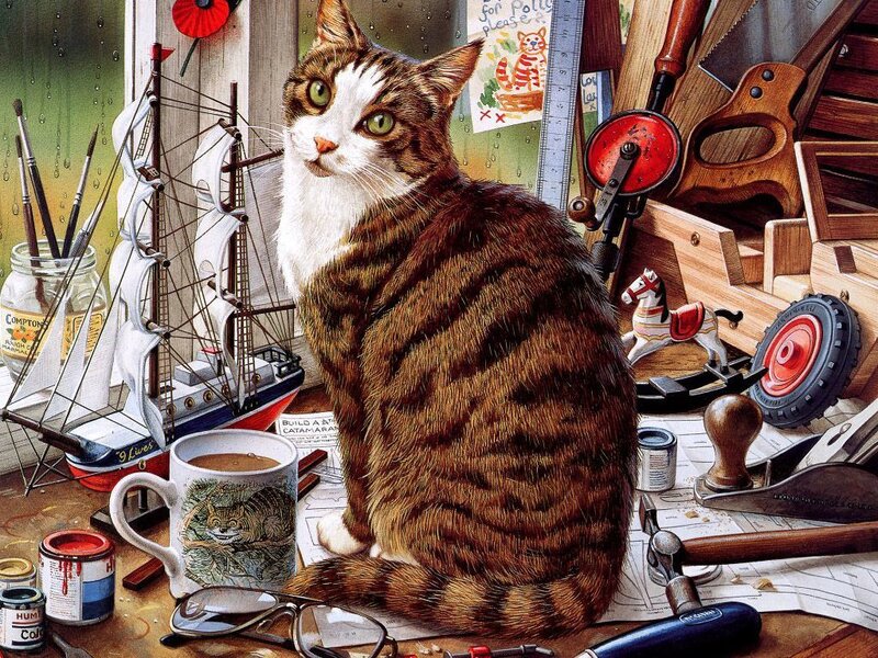 Tabby Cat in Workshop