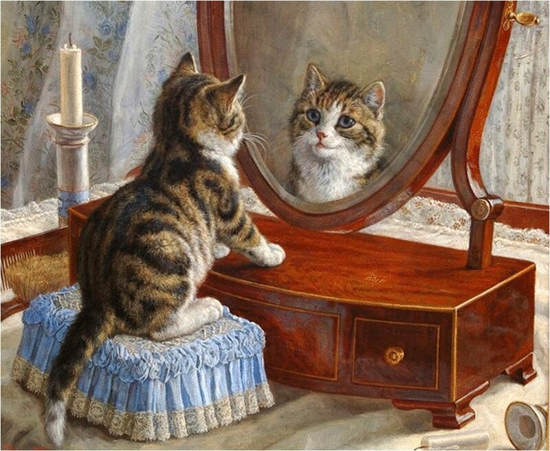 Tabby Cat Looking in Mirror