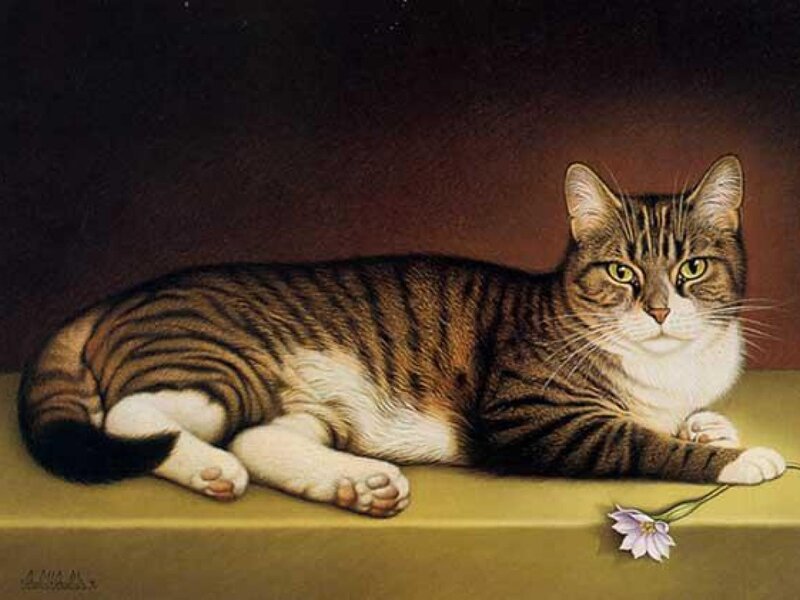 Tabby Cat Lying Down — Brown, Calm, Painting, Flower