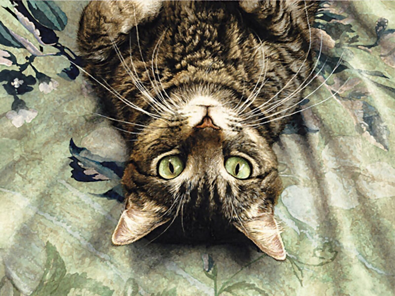 Tabby Cat Lying Down — Brown, Calm, Painting, Whiskers