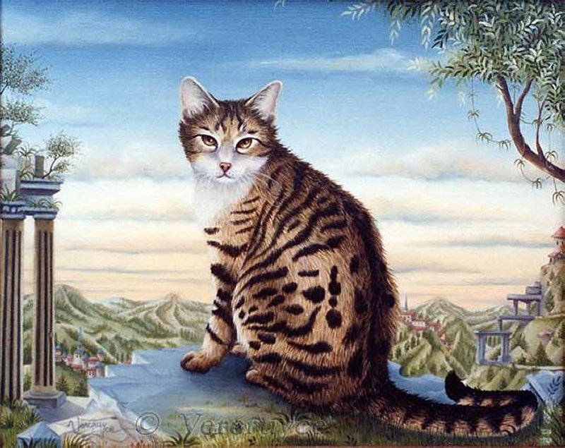 Tabby Cat on a Terrace