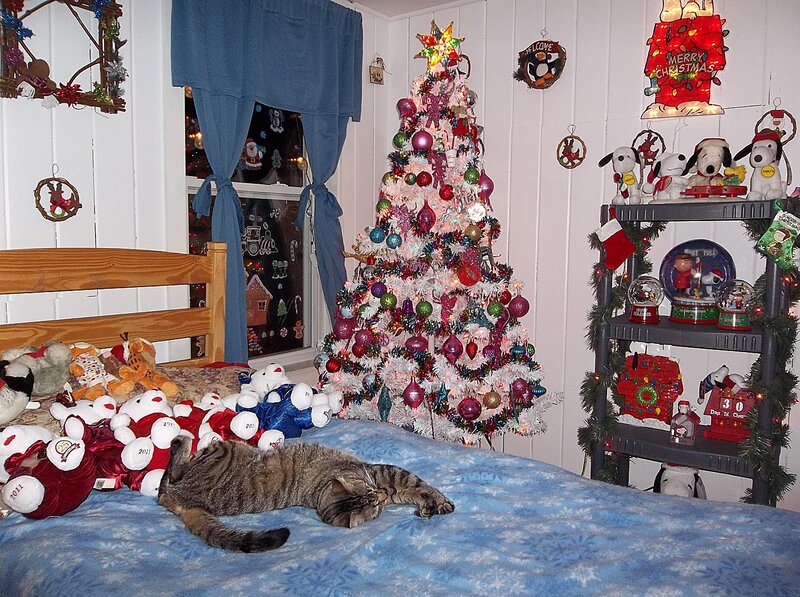 Tabby Cat on Bed — Blue