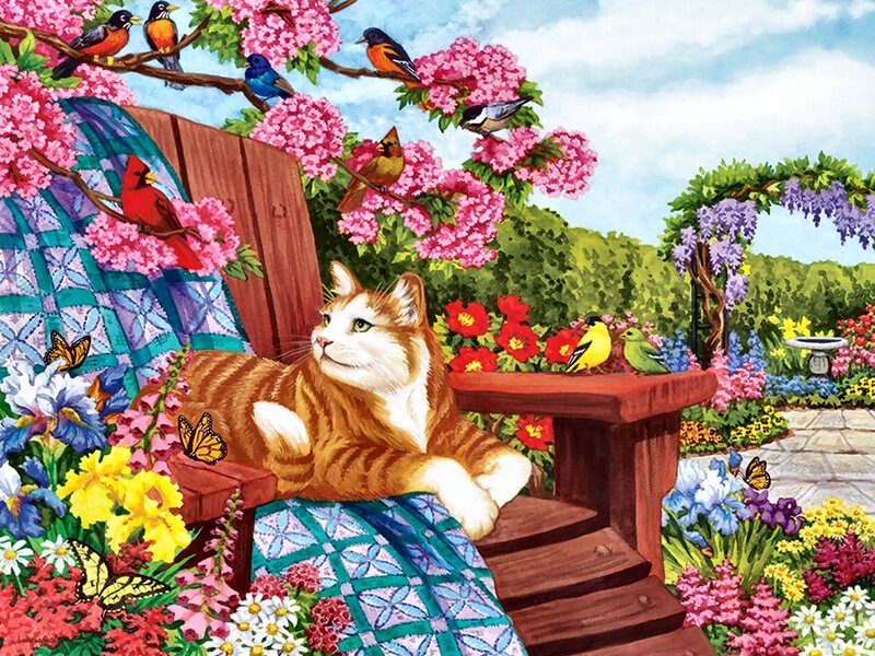 Tabby Cat on Bench — Pink
