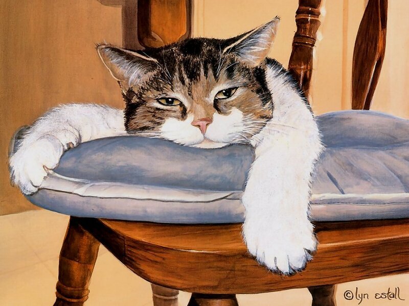 Tabby Cat on Chair