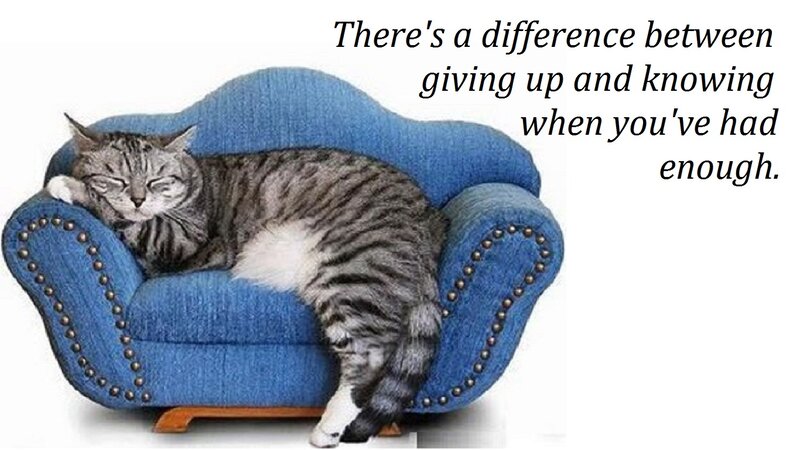 Tabby Cat on Couch — Blue