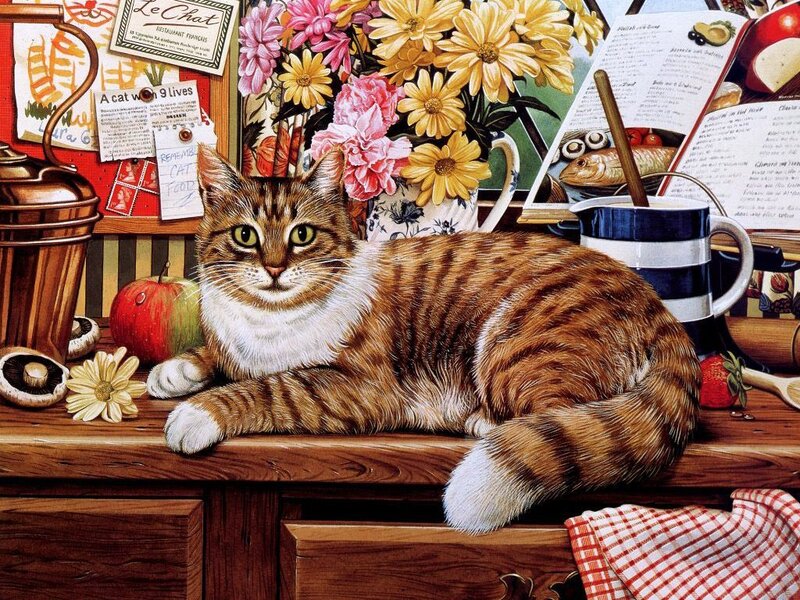 Tabby Cat on Counter