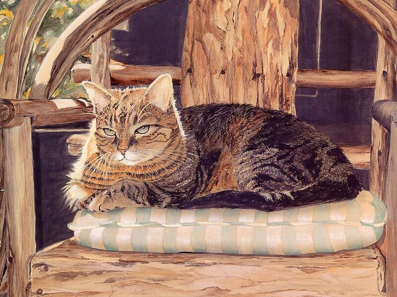Tabby Cat on Cushion