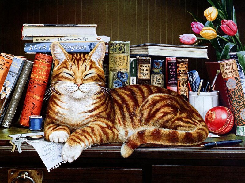 Tabby Cat on Desk