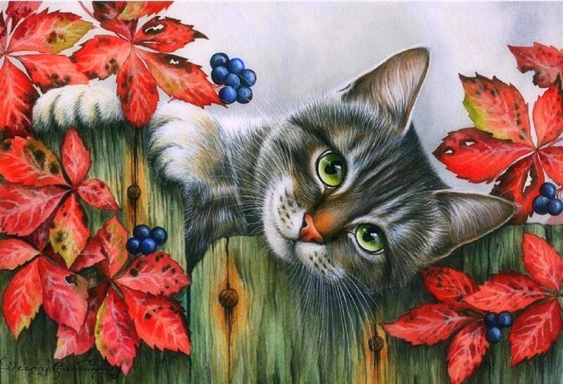 Tabby Cat on Fence — Green, Calm, Autumn