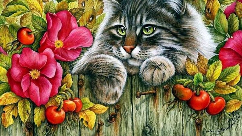 Tabby Cat on Fence — Pink