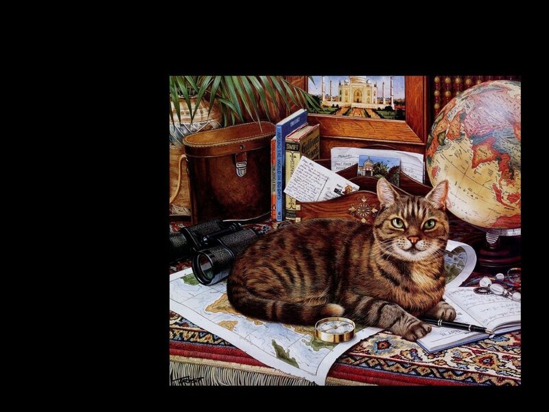 Tabby Cat on Map — Brown