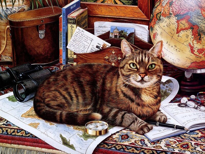 Tabby Cat on Map