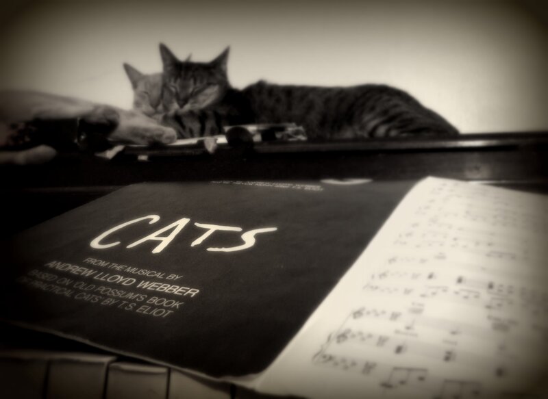 Tabby Cat on Piano