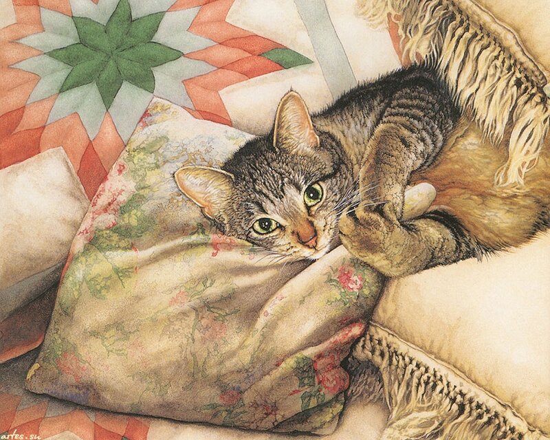 Tabby Cat on Pillow — Brown, Calm