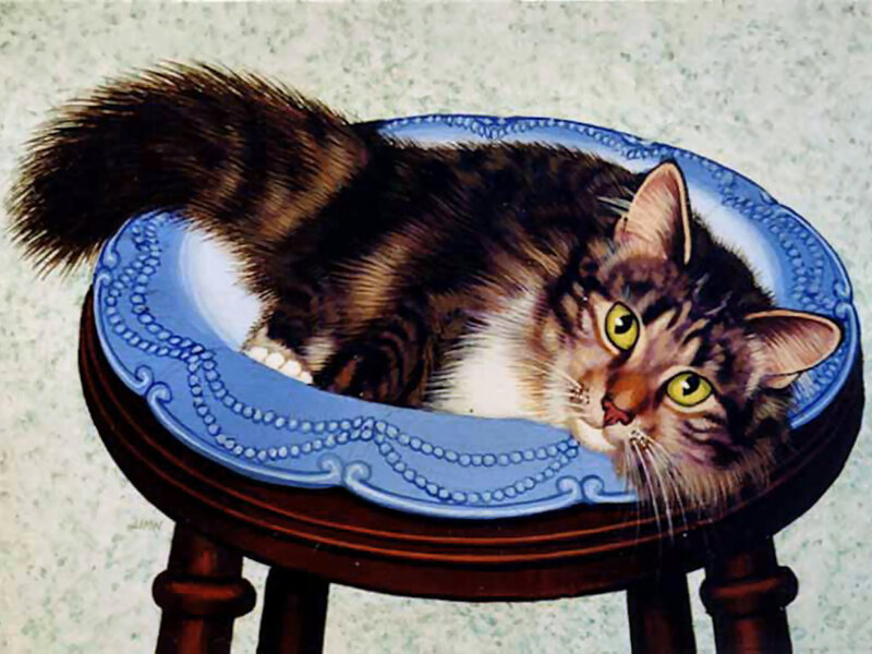 Tabby Cat on Plate