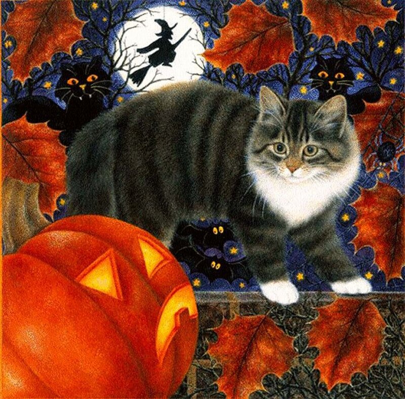 Tabby Cat on Pumpkin