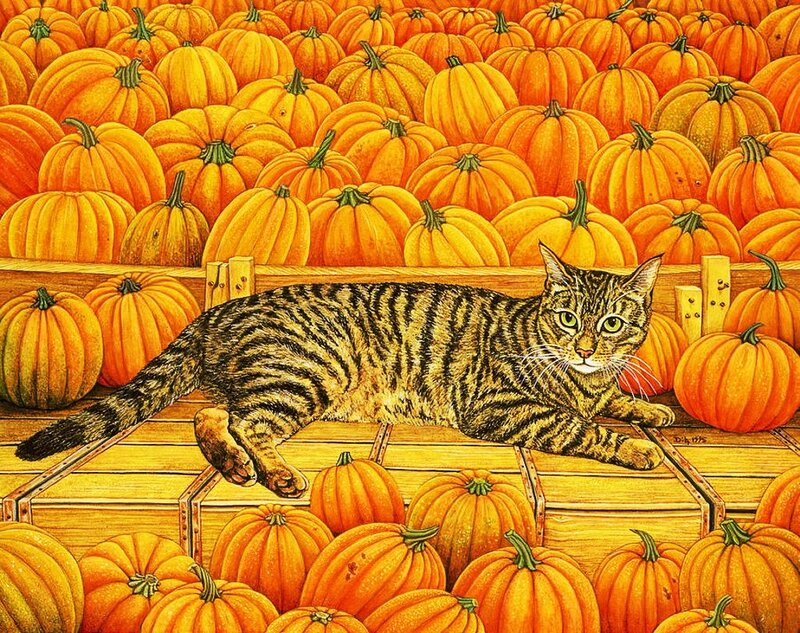 Tabby Cat on Pumpkins — Orange, Calm