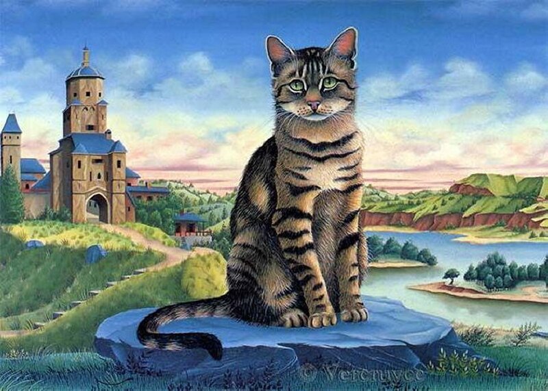 Tabby Cat on Rock