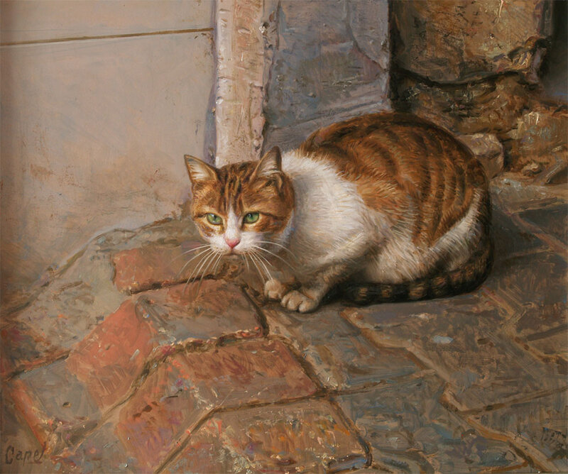 Tabby Cat on Stone — Brown
