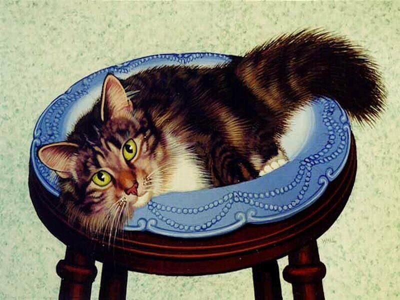 Tabby Cat on Stool
