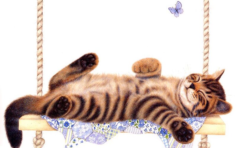 Tabby Cat on Swing