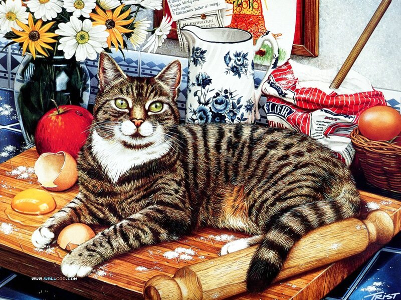 Tabby Cat on Table — Brown, Calm, Illustration, Apples