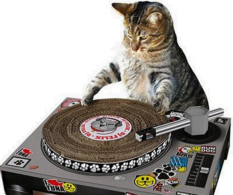 Tabby Cat on Turntable
