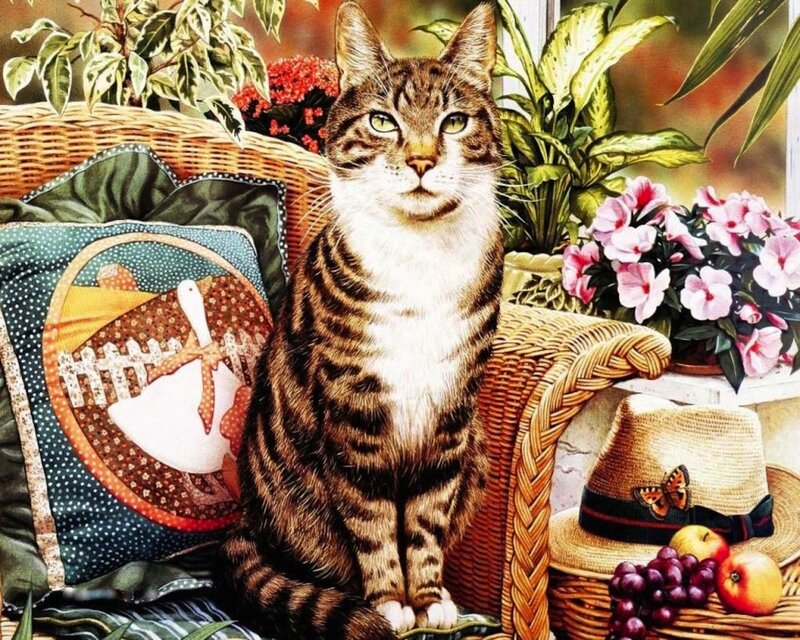 Tabby Cat on Wicker Chair — Brown, Calm