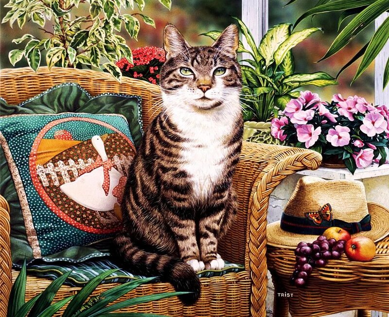 Tabby Cat on Wicker Chair — Brown, Serene, Afternoon, Illustration, Pillow