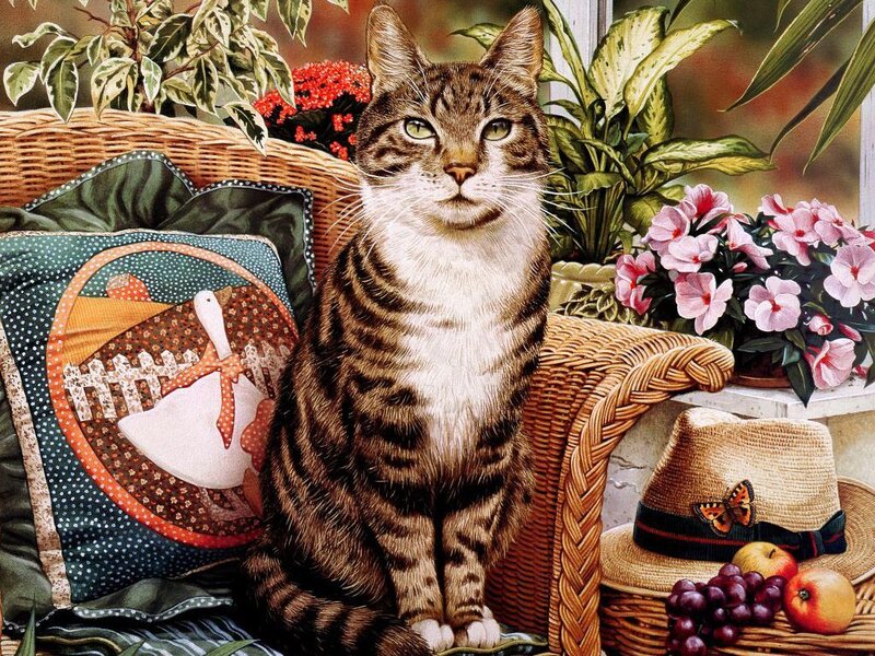Tabby Cat on Wicker Chair — Brown