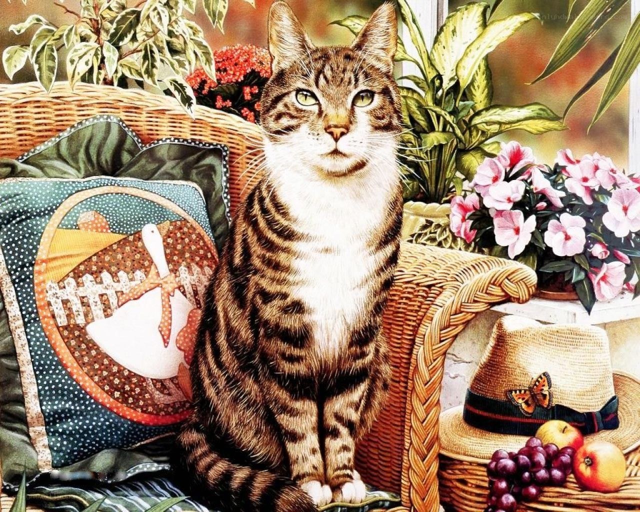 Tabby cat on wicker chair