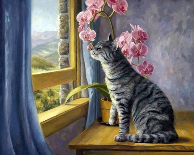 Tabby Cat on Windowsill — Gray, Serene