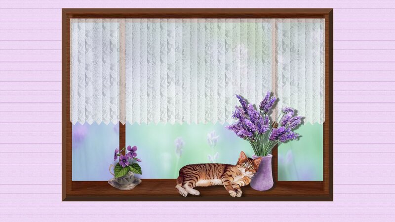 Tabby Cat on Windowsill — Purple