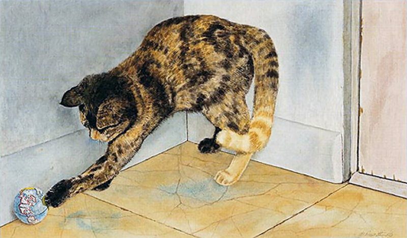 Tabby Cat Playing