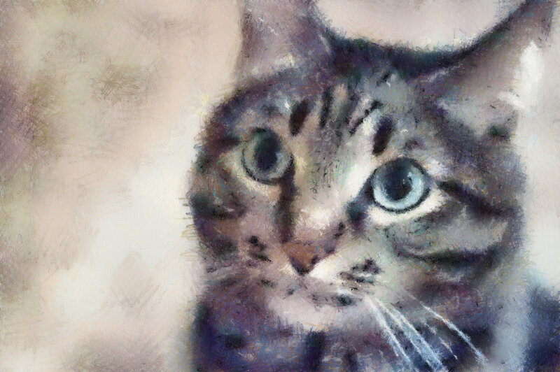 Tabby Cat Portrait — Gray