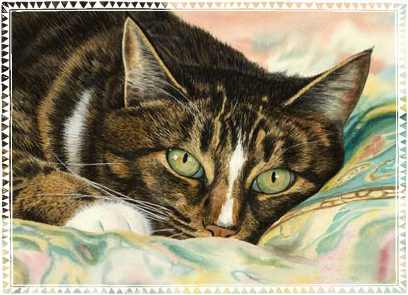 Tabby Cat Resting — Brown, Calm