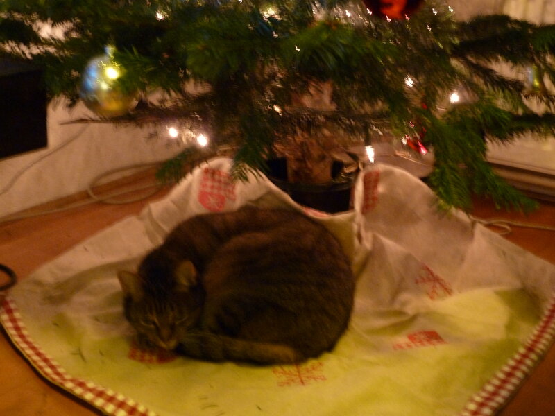 Tabby Cat Sleeping — Green, Calm