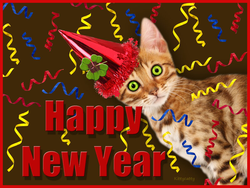 Tabby Cat Wearing Hat — Brown, Festive, Digital Art