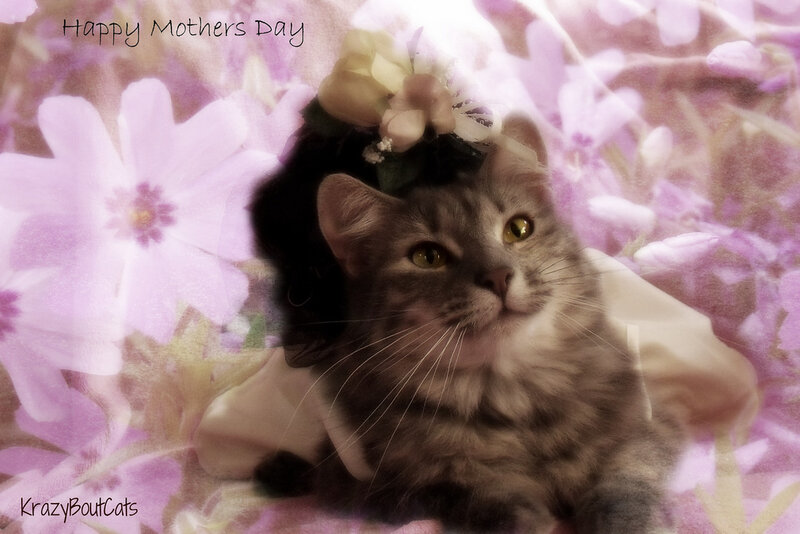 Tabby Cat with Flower Crown — Purple