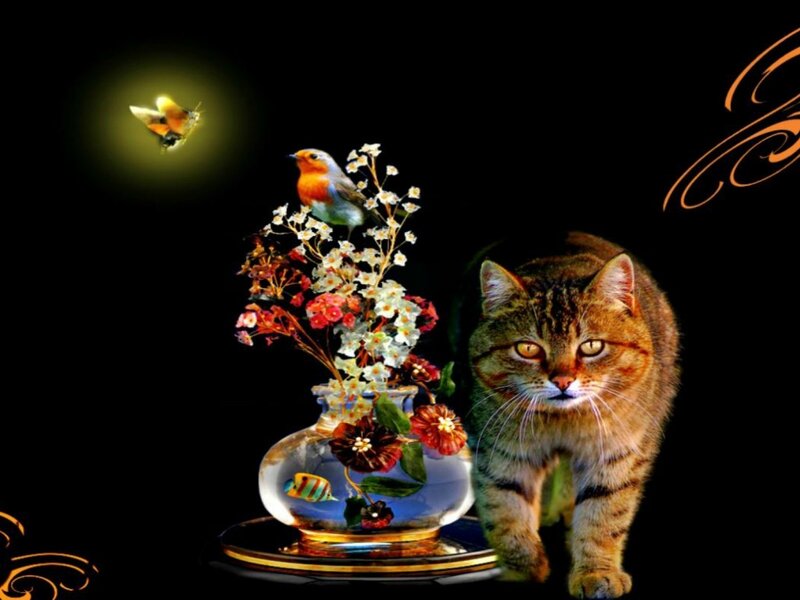 Tabby Cat with Flowers — Black, Dramatic