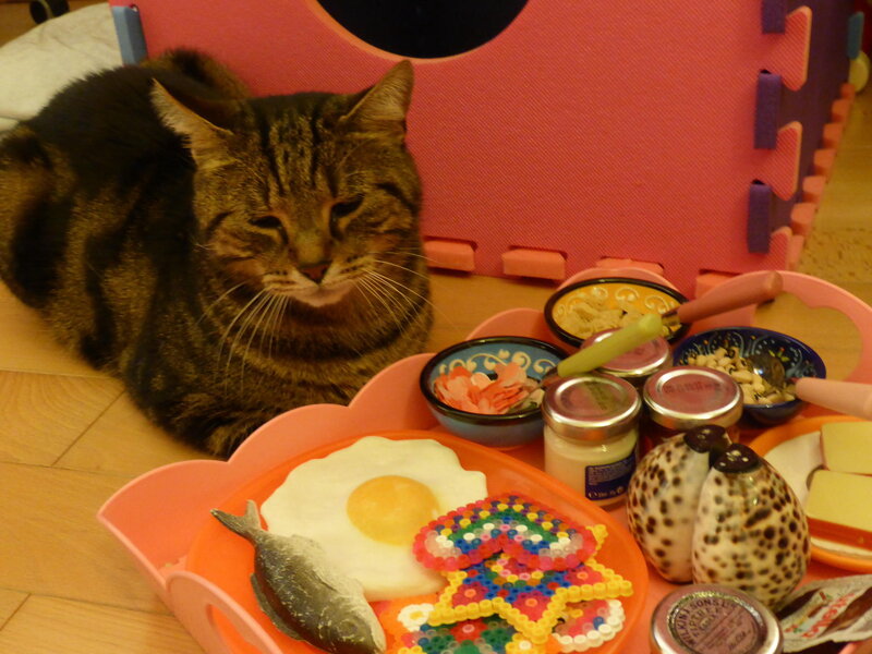 Tabby Cat with Food — Orange