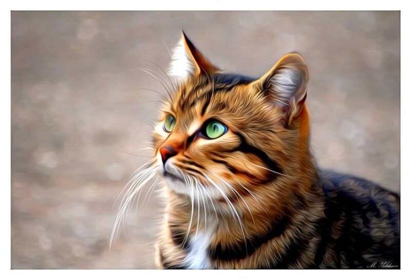 Tabby Cat with Green Eyes — Brown, Calm, Digital Art
