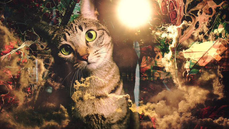 Tabby Cat with Green Eyes — Brown, Dramatic, Digital Art