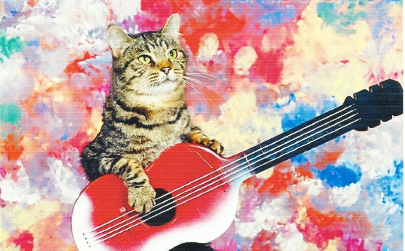 Tabby Cat with Guitar