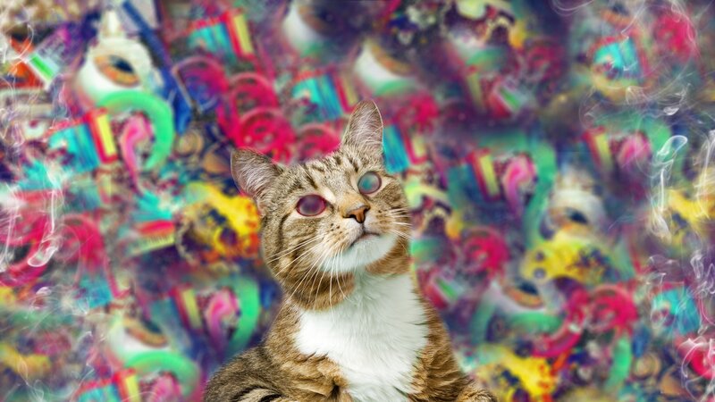 Tabby Cat with Red Eyes