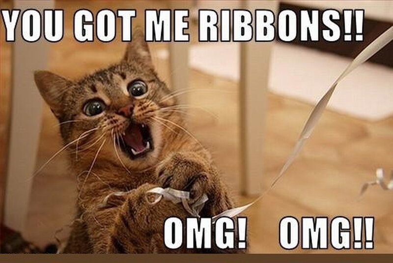 Tabby Cat with Ribbon