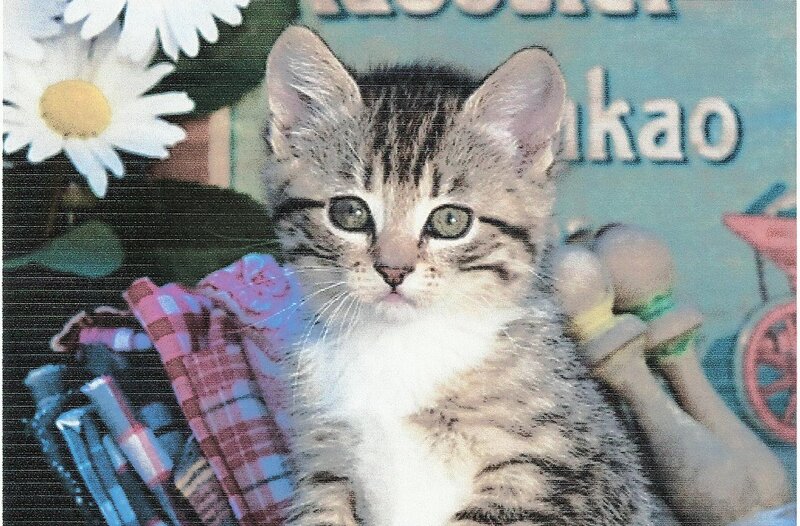 Tabby Kitten in Basket — Gray