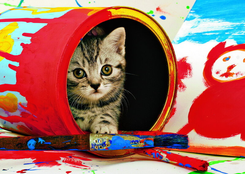 Tabby Kitten in Paint Can