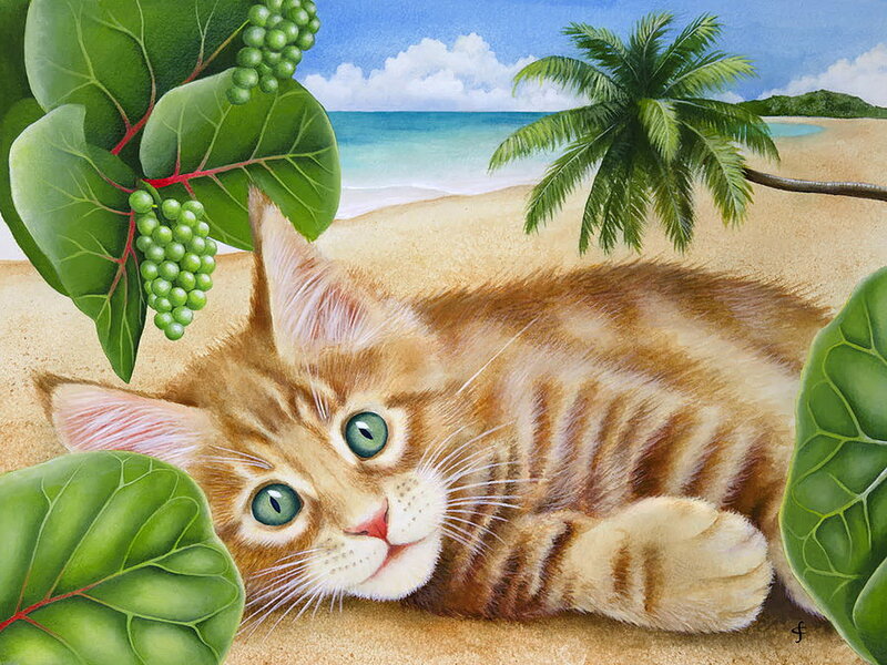Tabby Kitten on Beach