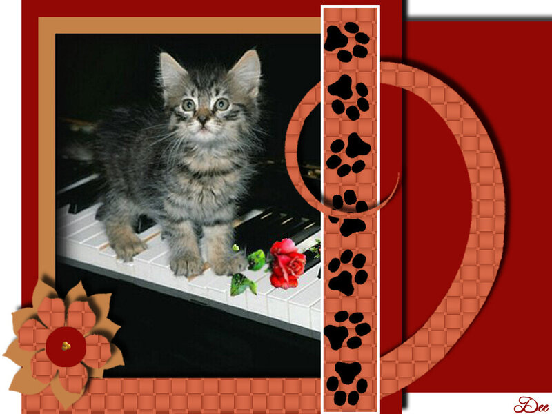 Tabby Kitten on Piano